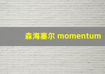 森海塞尔 momentum